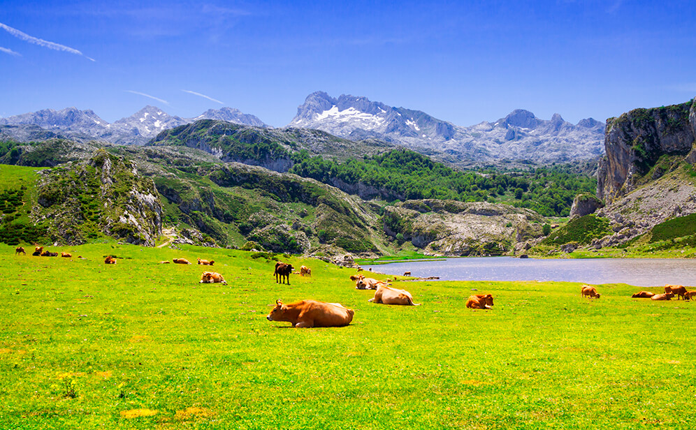 vivir en Asturias