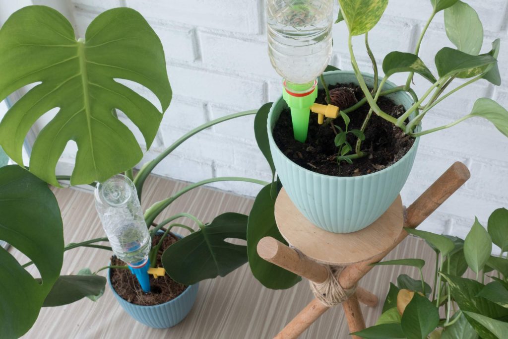 Sistemas de riego caseros para regar las plantas en vacaciones