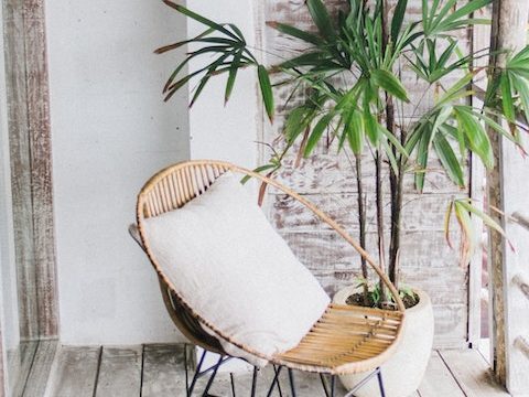 Terraza con plantas y un sillón de estar