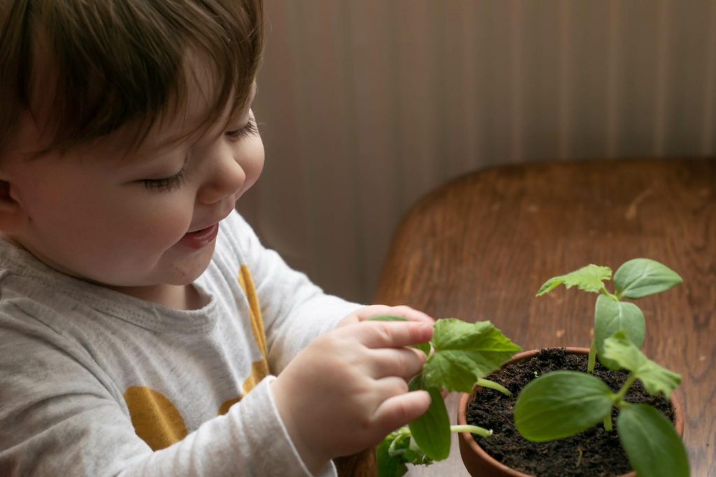 Bebe jugando una planta