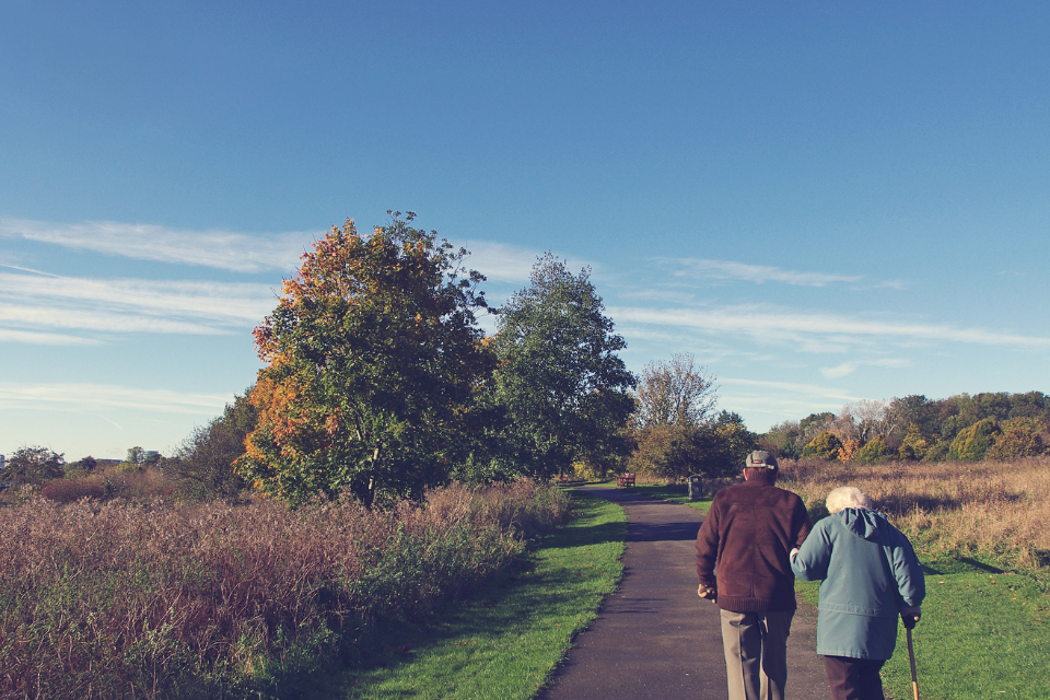 Pareja de ancianos paseando por un camino 