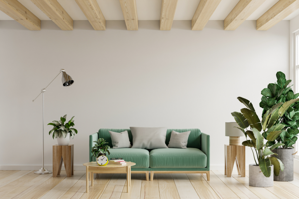 Plantas para decorar tu salón