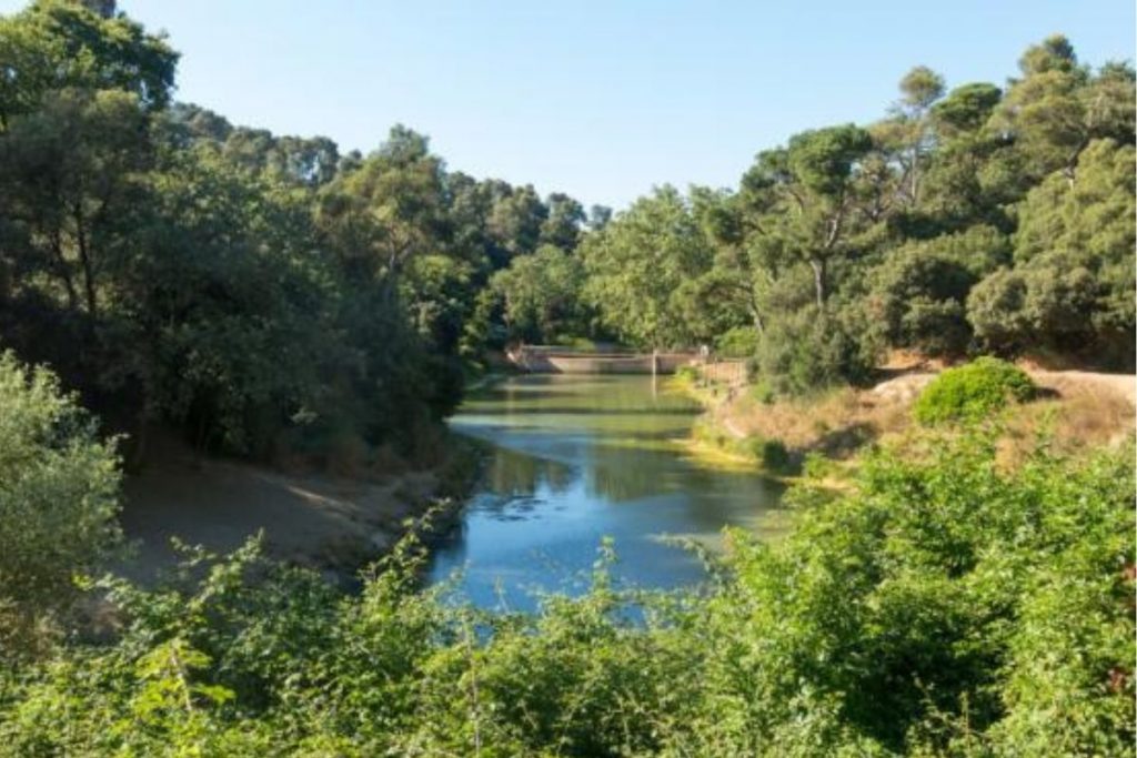 Naturaleza en Cerdanyola del Vallès