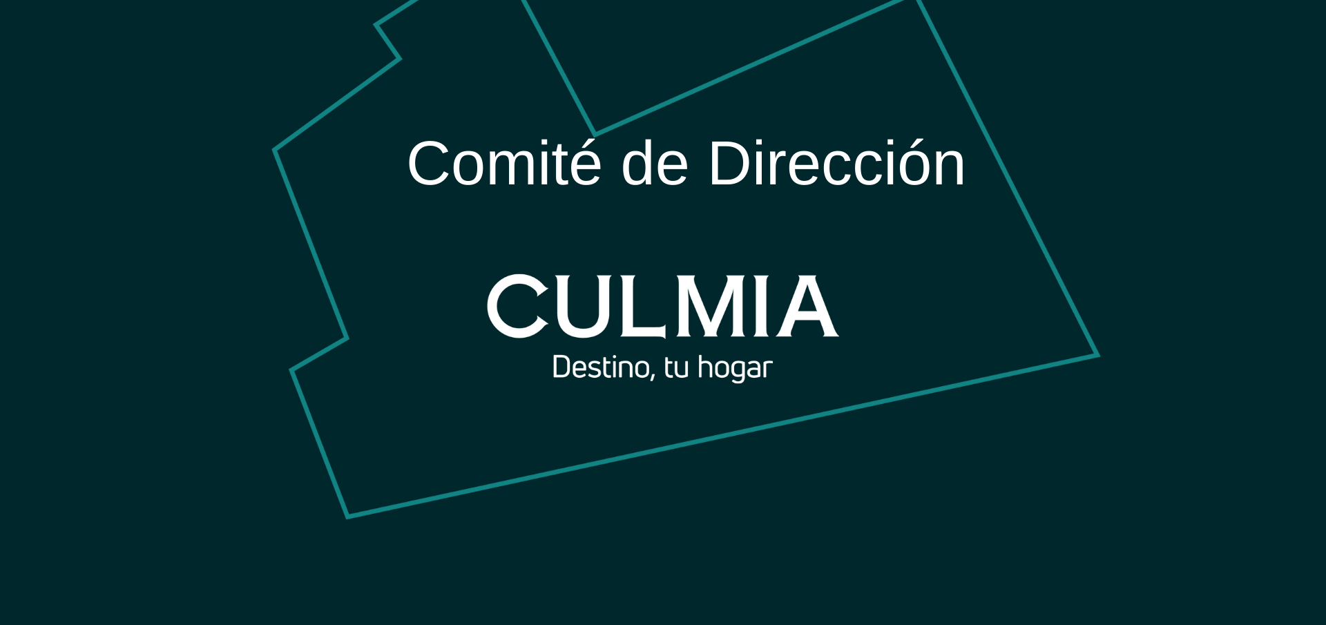 Comité de  Dirección Culmia