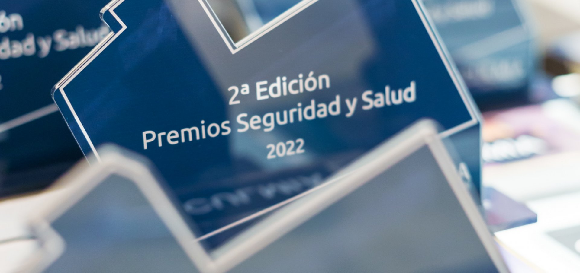 Galardón II Edición de los Premios Seguridad y Salud