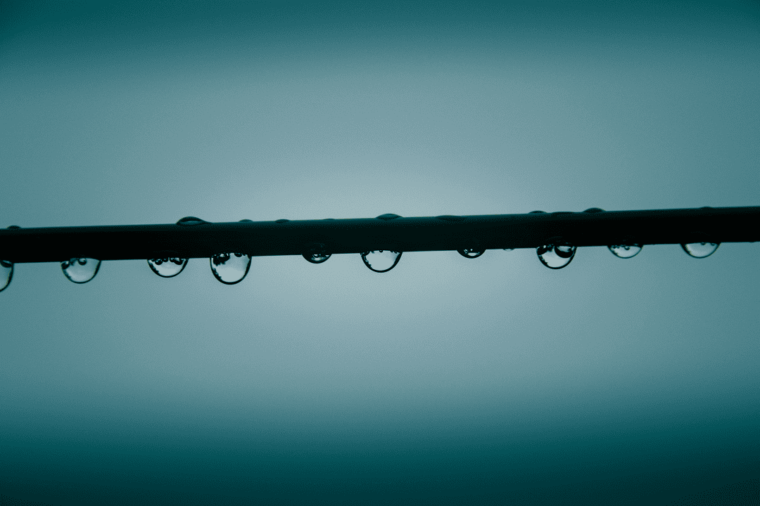 Uso eficiente del agua en el jardín con el riego por goteo 