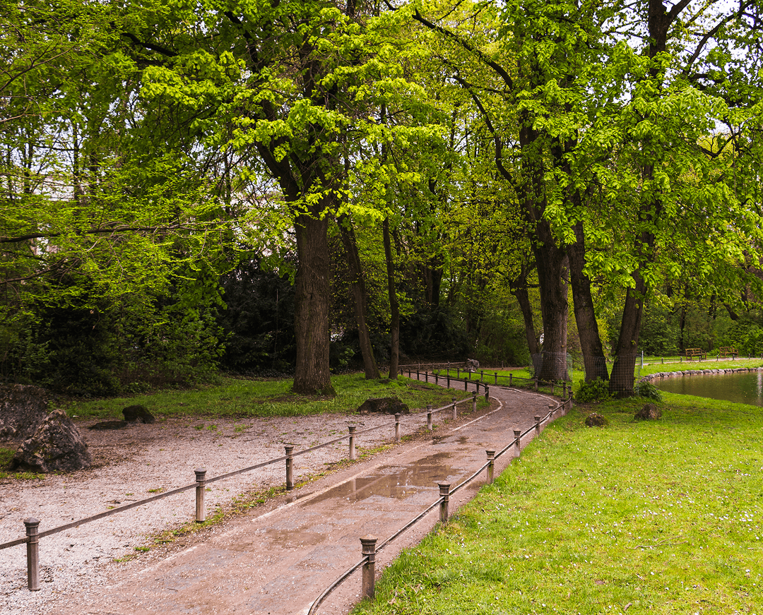 path through park with green trees