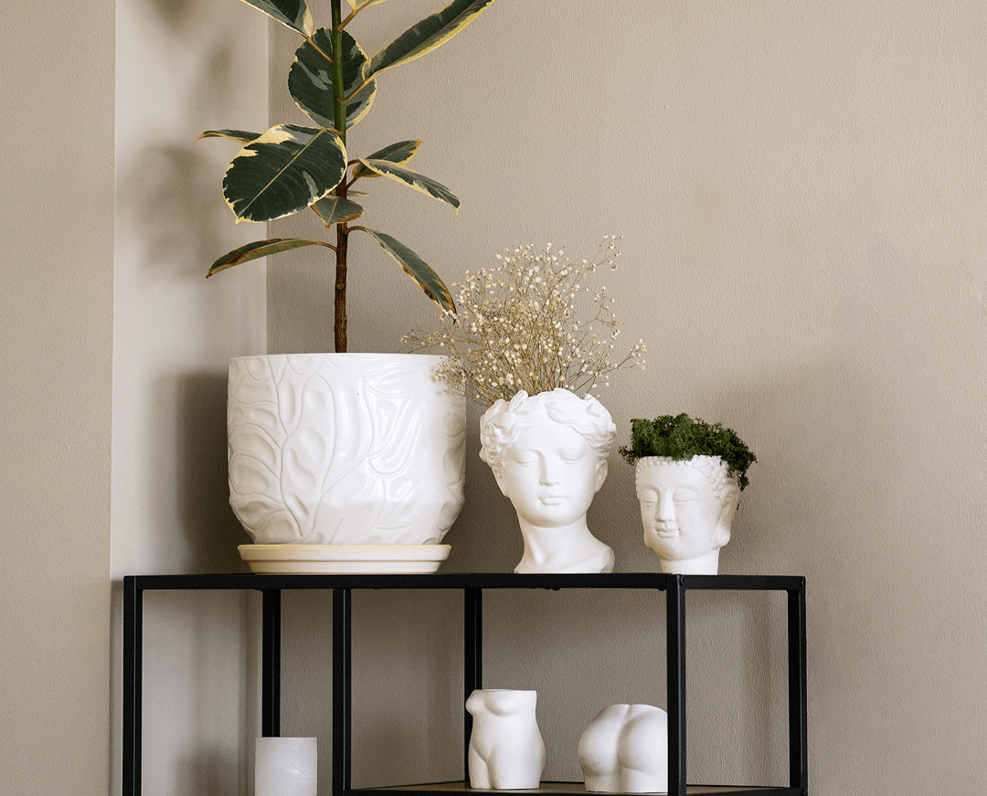 view potted plant room metal shelf 1