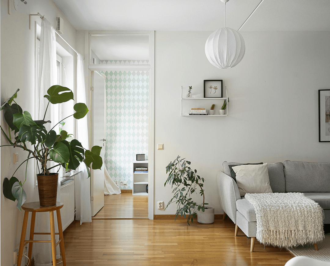 alex tyson z1orsBp9yfY unsplash