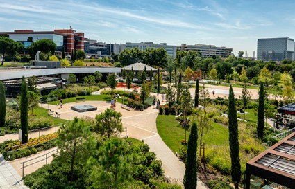 Vivir en La Moraleja: Calidad de Vida y Naturaleza a Tu Alcance 9 Vivir en la Moraleja