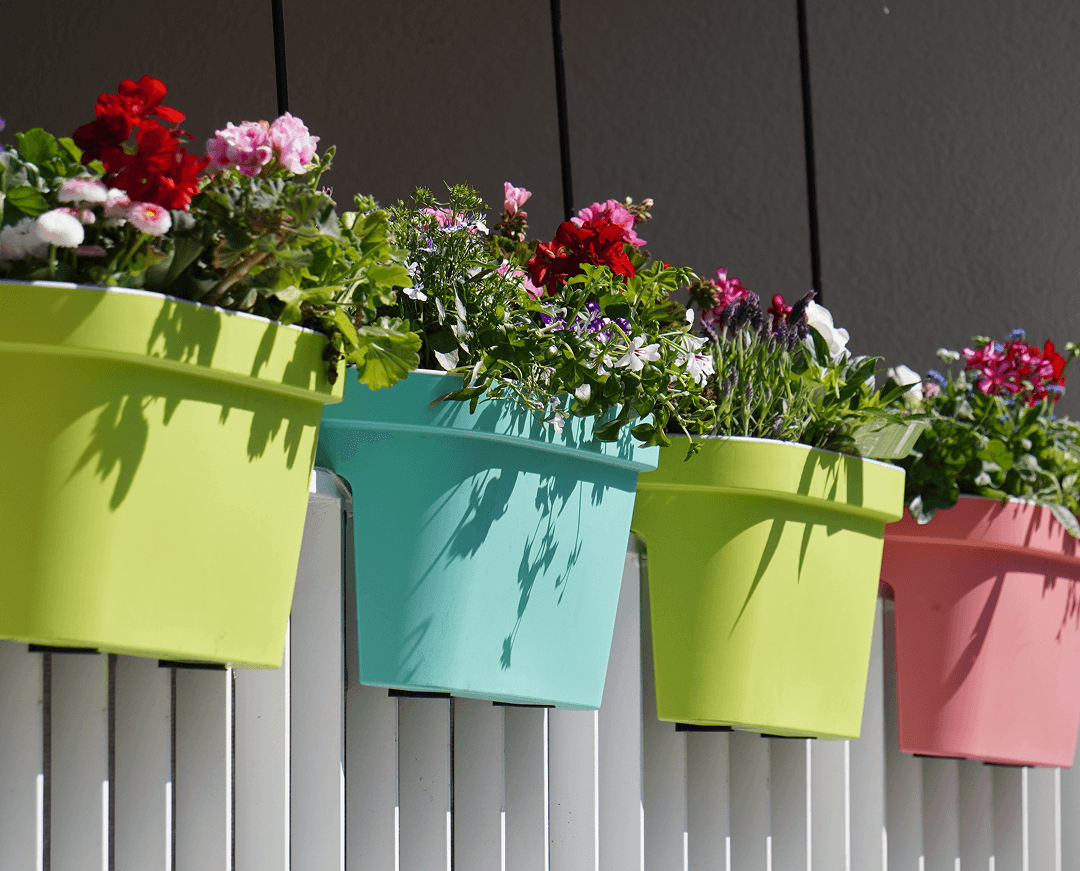 flowers with colorful pots white fence 1