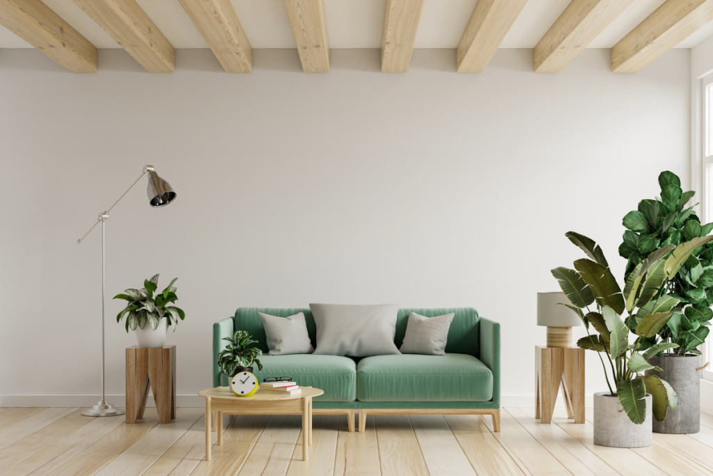 Plantas para decorar tu salón