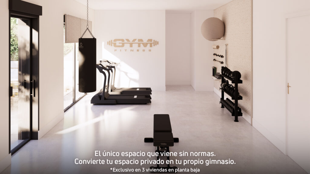 TXOKO Matxitxako Bidea1920x1080Feb2026 GYM A