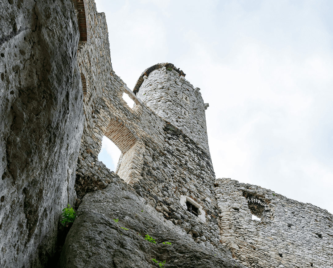 wioletta plonkowska 1UeFIF eBuY unsplash