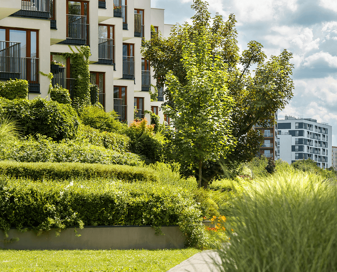 pexels jakubzerdzicki 27459716