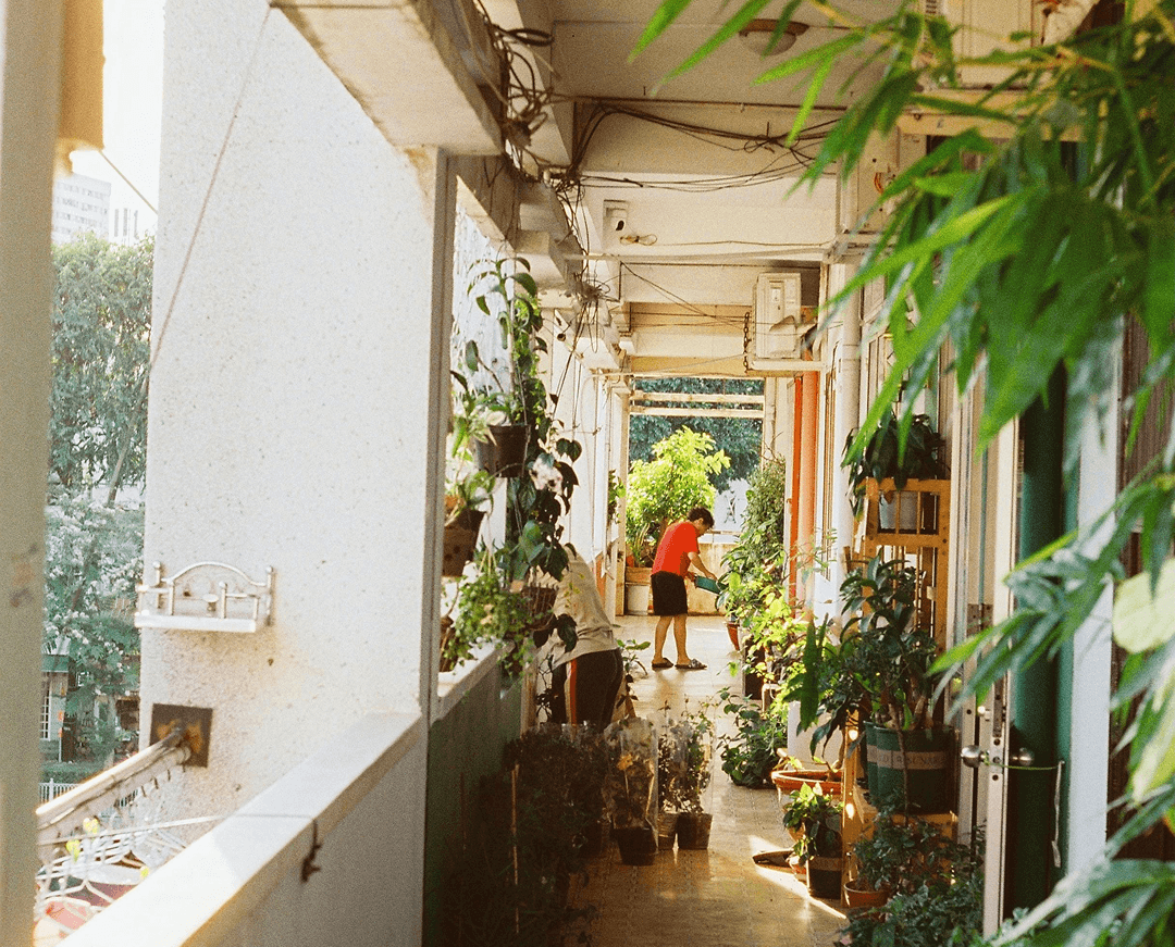 pexels nam quan nguy n 459228913 16956321