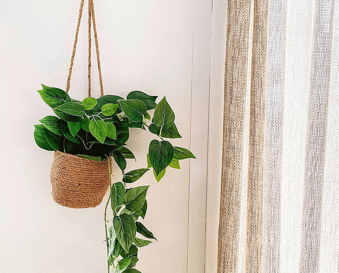 yomi ajilore LRyyeZhJ2Gw unsplash 1