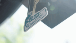 El viatge del camaleó Captura de pantalla 2025 10 16 121849