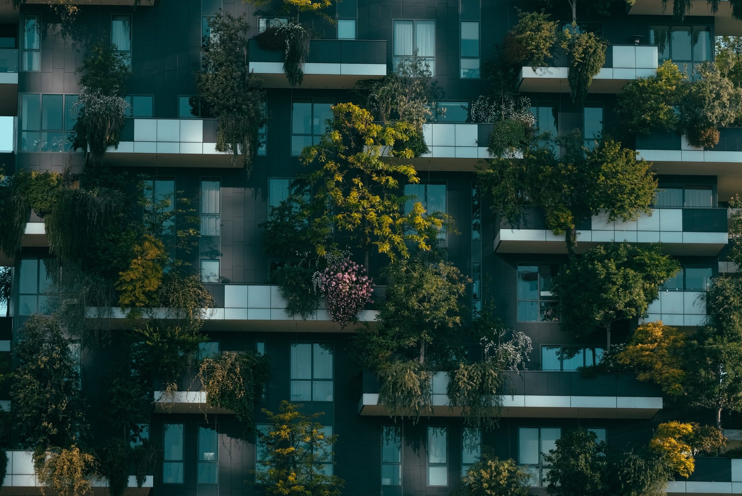 Construcción sostenible en España