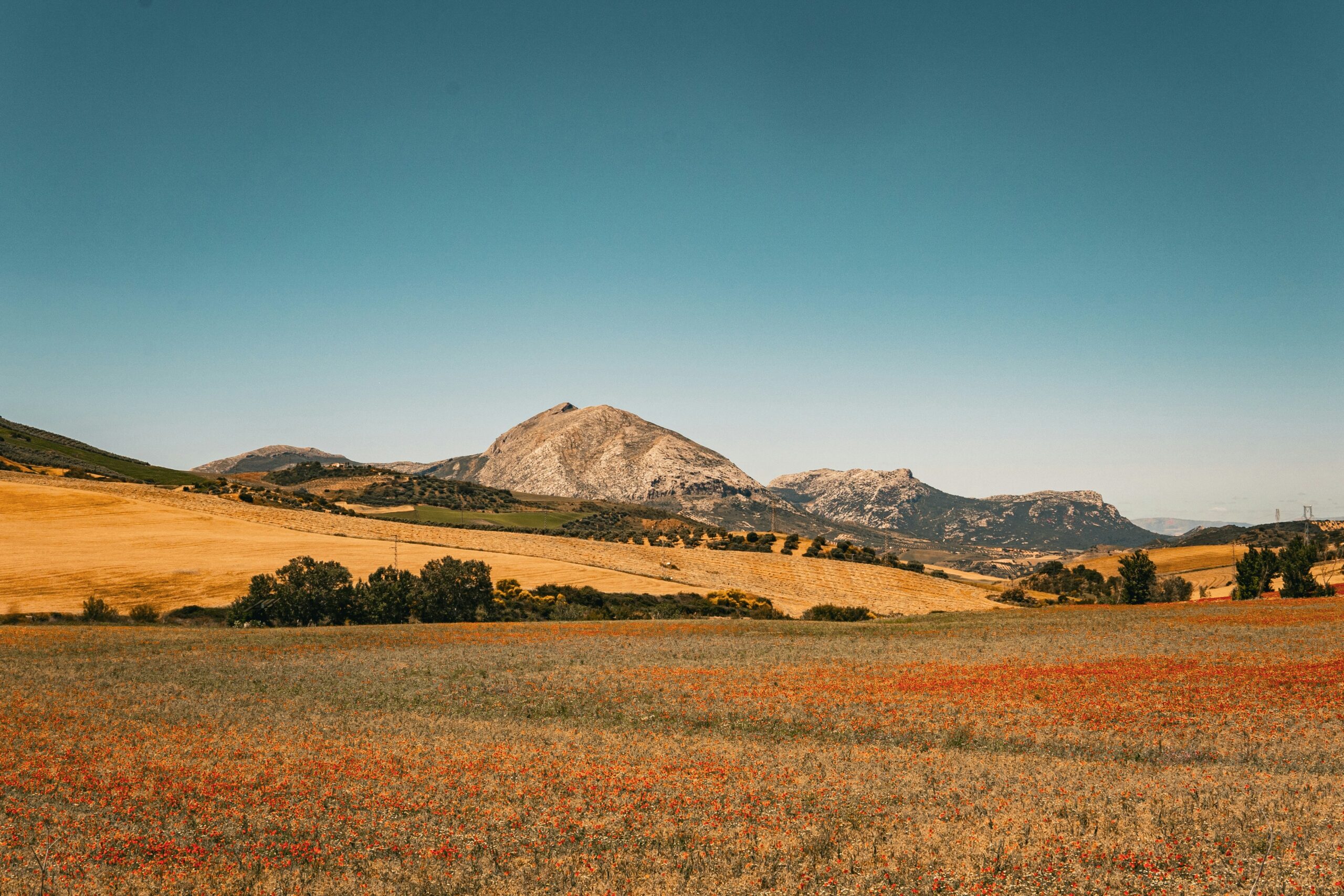 paisaje de Andalucía