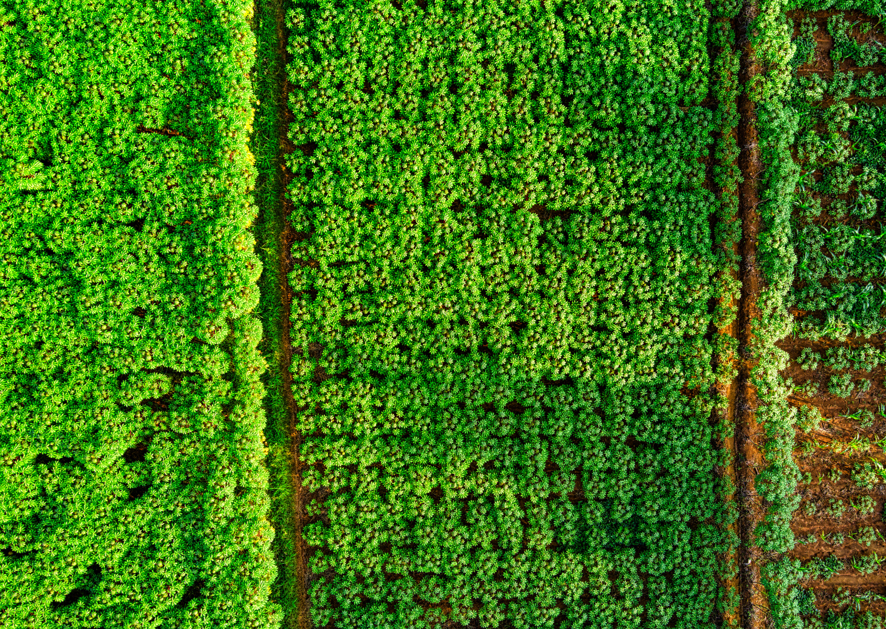 Eficiencia energética de edificios: nuevas exigencias del certificado energético en 2030 5 certificado energético en 2030